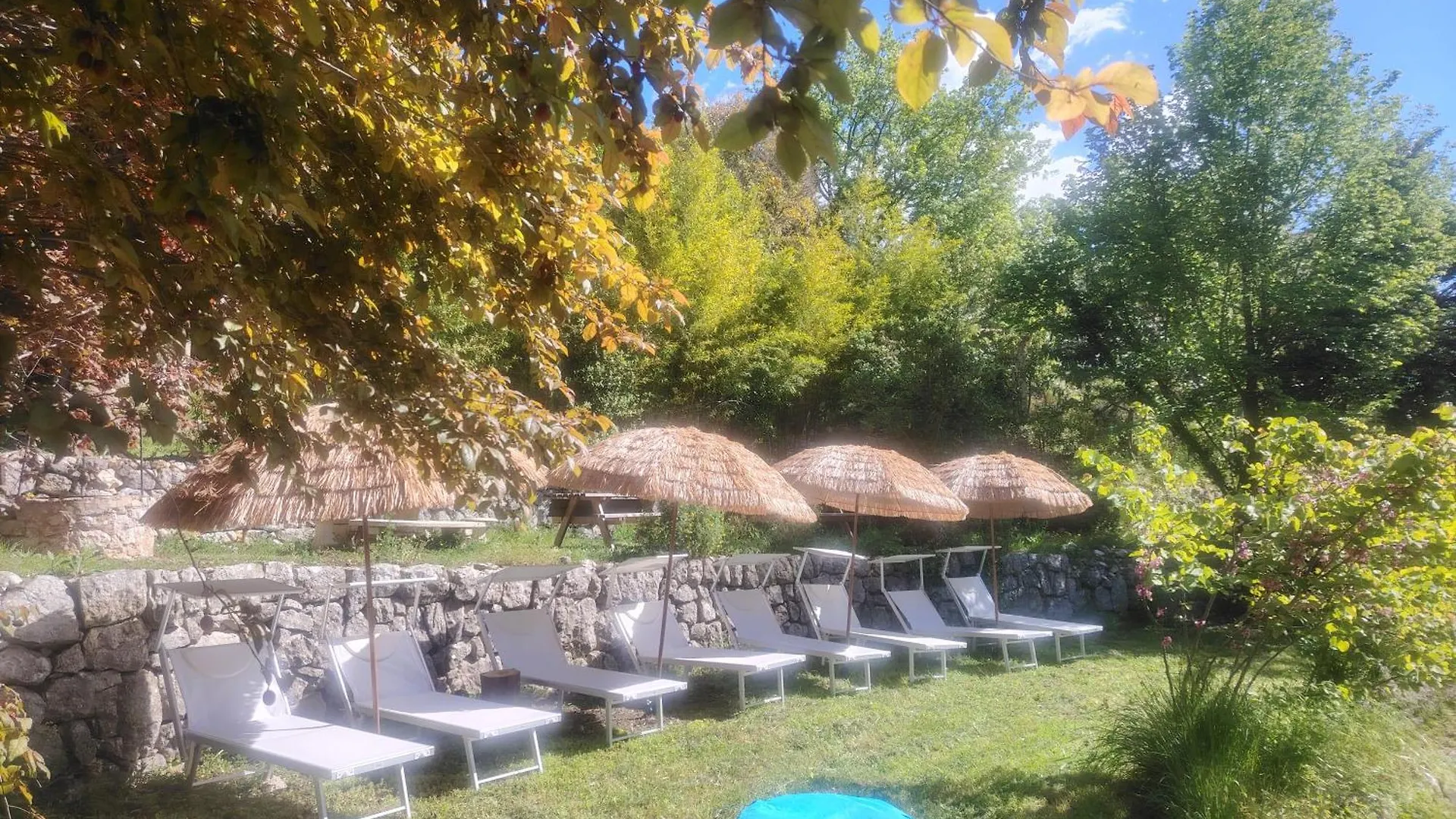 Domaine Des Petites Soeurs A 800M Du Centre Historique Avec 5200M2 De Parc Arbore Ванс Франция