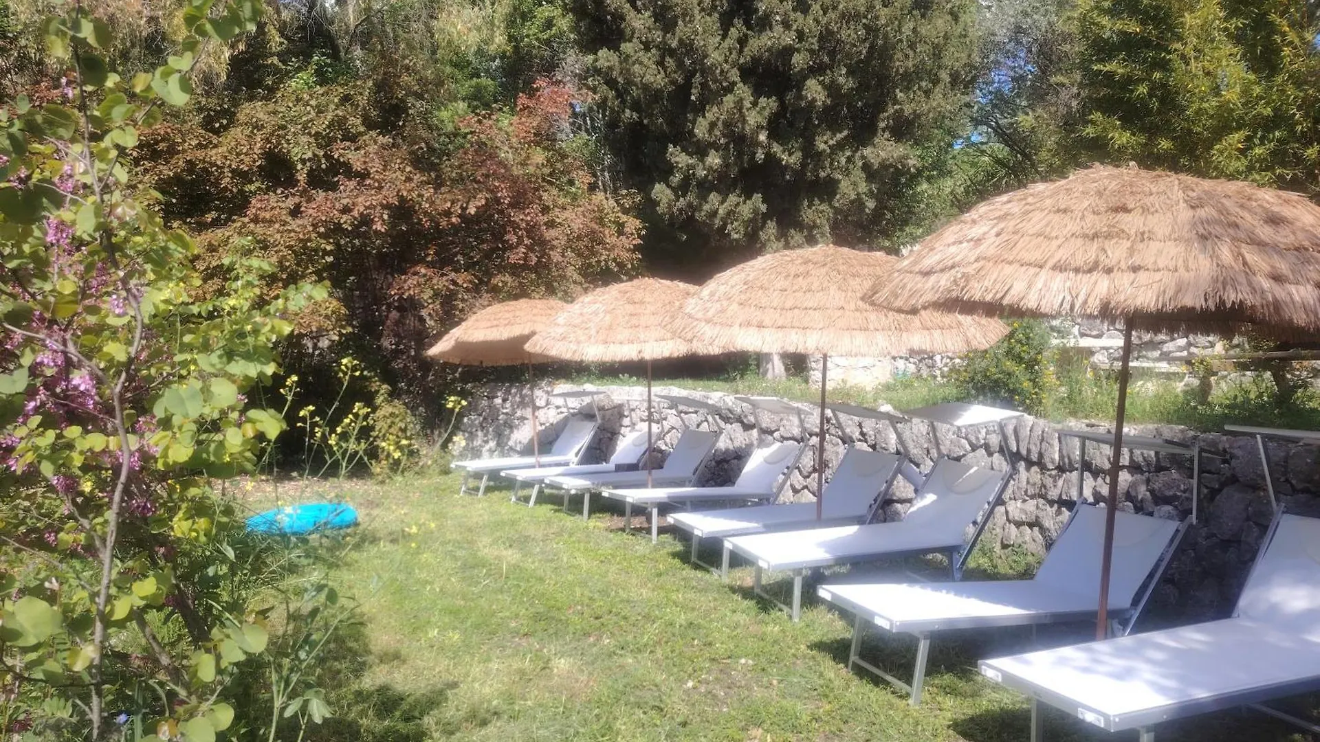 Domaine Des Petites Soeurs A 800M Du Centre Historique Avec 5200M2 De Parc Arbore Ванс 0*,  Франция